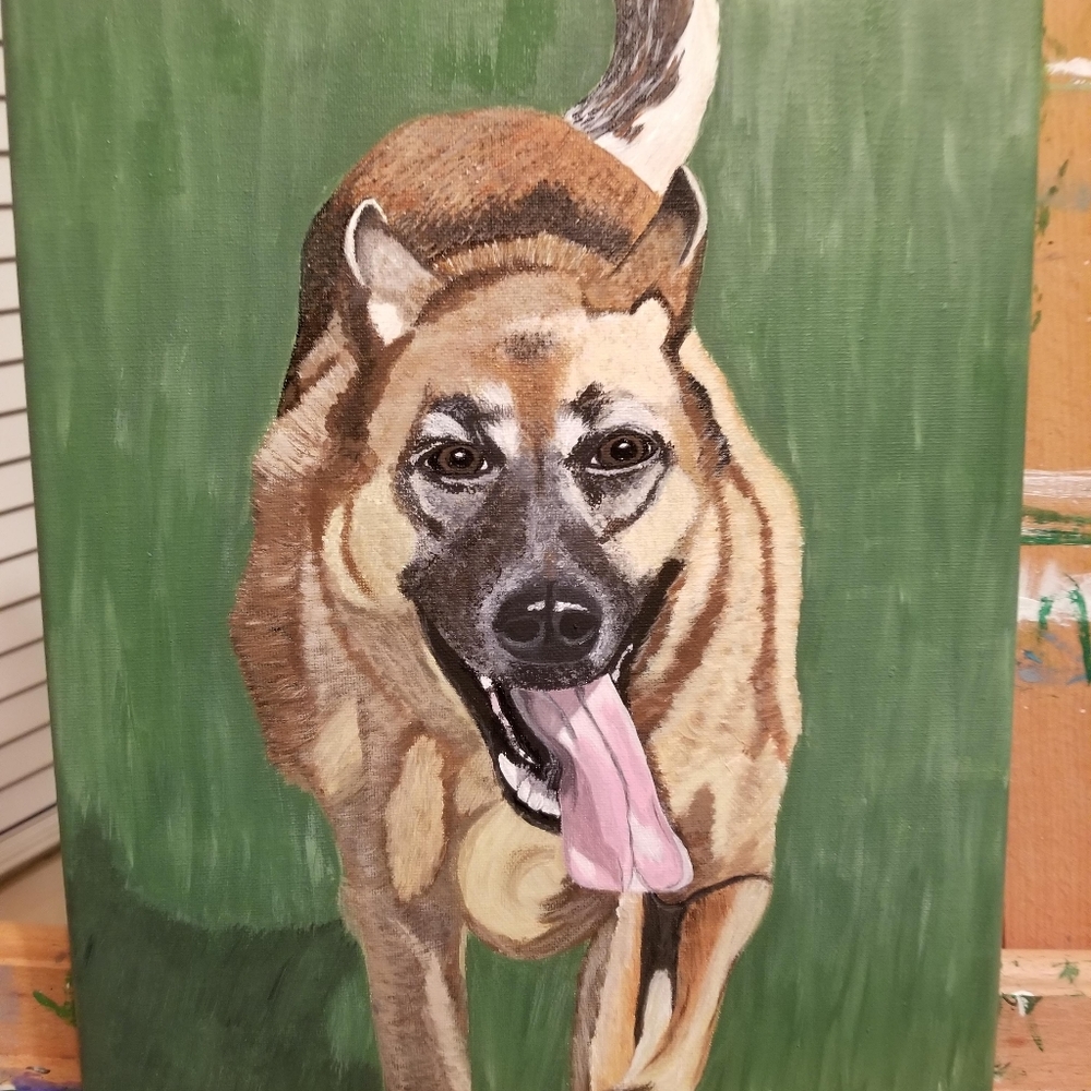 Custom pet portraits